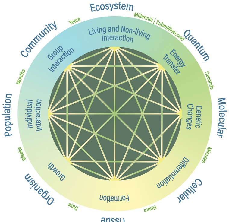 The Phenomics wheel of process interactions