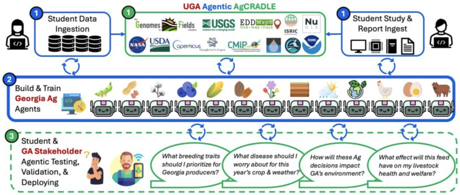 UGA Agentic AgCRADLE: students ingest open agricultural data and study reports, use them to build and train Georgia crop and livestock agents, then test, validate and deploy those agents against real grower questions